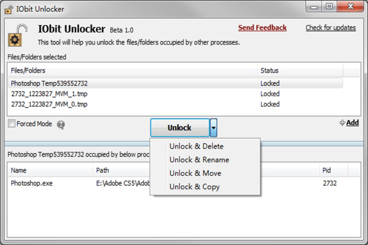 IObit Unlocker captura 2