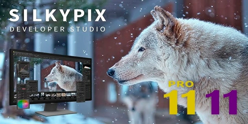 Silkypix Developer Studio Pro 11.1.14.0 (2024) [Full] [Mega-Mediafire]
