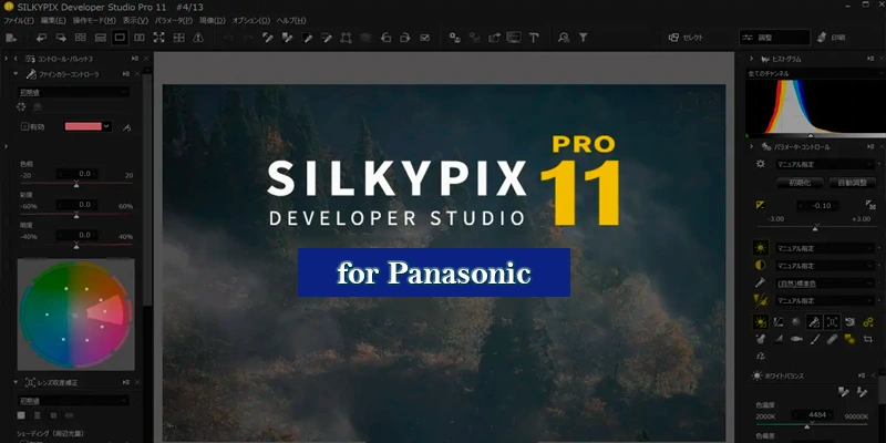 SILKYPIX Developer Studio Pro for Panasonic 11.3.13.0 (2024) [Full] [Mega-Mediafire]