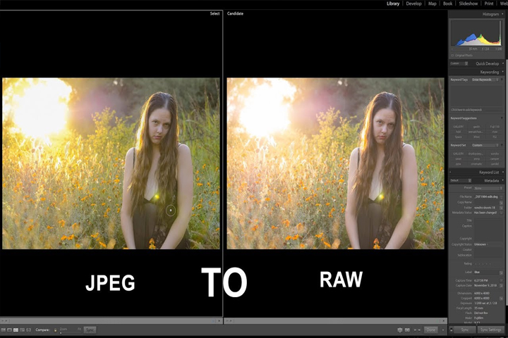Topaz JPEG to RAW AI 2.2.1 Captura