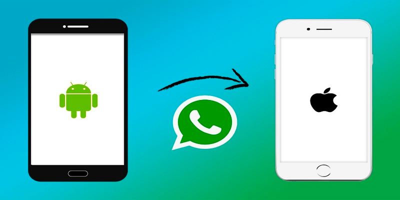 Backuptrans Android iPhone WhatsApp Transfer Plus 3.2.182 (2024) [Full] [Mega-Mediafire-GDrive]