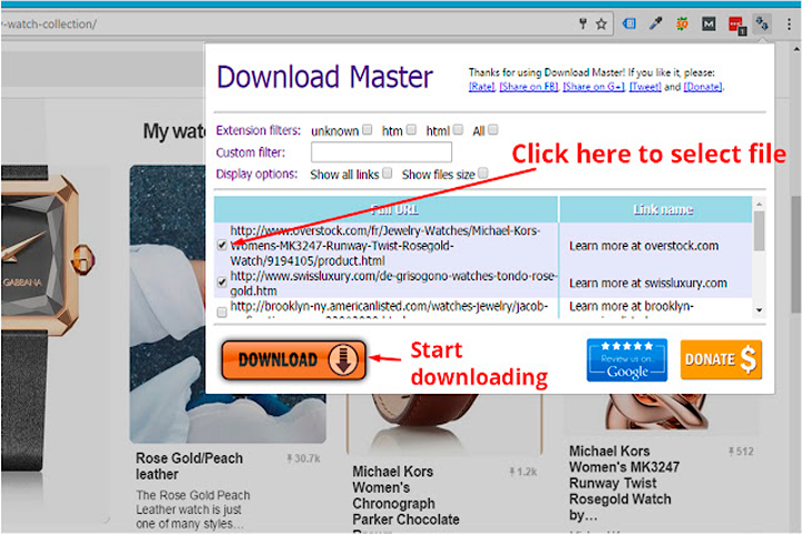 Download Master 7.0.1.1709 Screen