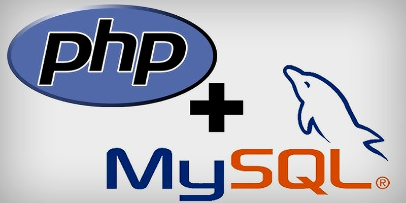 PHP Generator for MySQL Professional 22.8.0.10 (2024) [Full] [Mega-Mediafire]