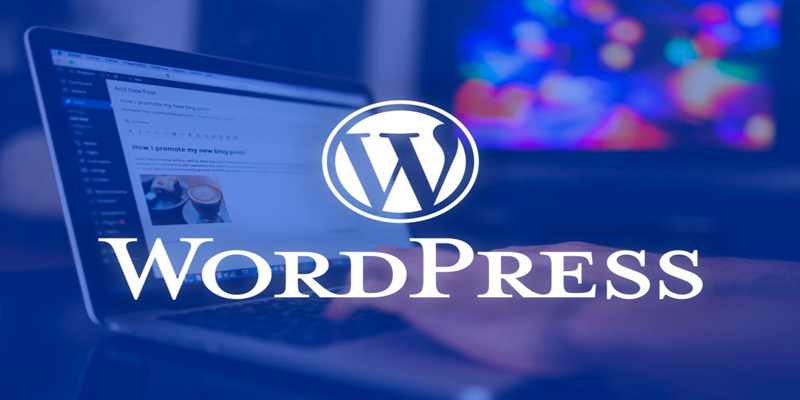 WordPress 6.5.4 (2024) [Full] [Mega-Mediafire-GDrive]