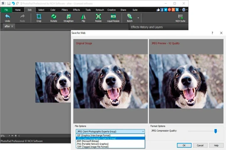 PhotoPad Image Editor Pro 11.95 Captura Mega Mediafire