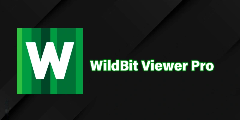 WildBit Viewer Pro 6.12 Commercial (2024) [Full] [Mega-Mediafire]